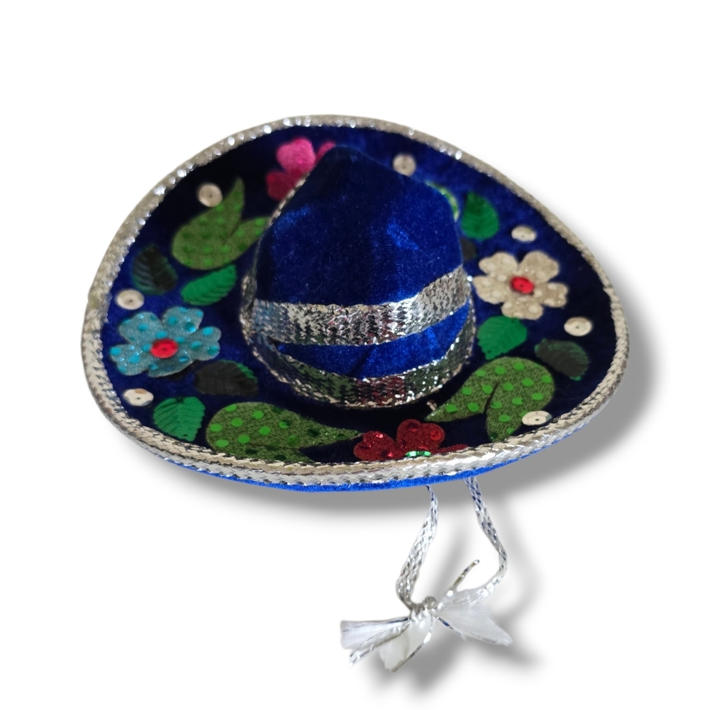 π Host Pick π Mexican Blue and Silver Small Dog Mini Sombrero - Picture 10 of 16